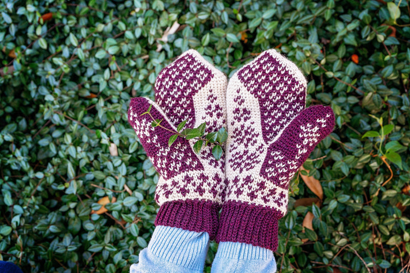 CROCHET PATTERN Deer Fair Isle Crochet Mitten Pattern, One Size Crochet Pattern, Winter Glove Mitten Accessories