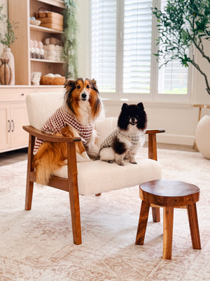 Houndstooth Dog Sweater Crochet Pattern + Video| XXS to 3X