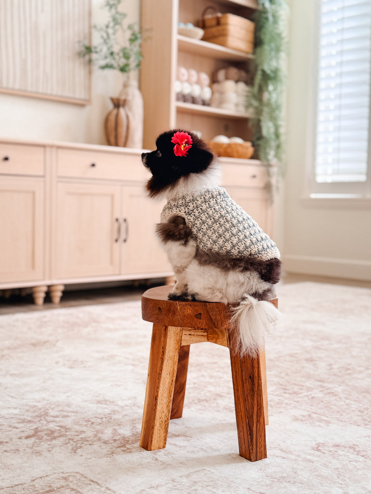 Houndstooth Dog Sweater Crochet Pattern + Video| XXS to 3X