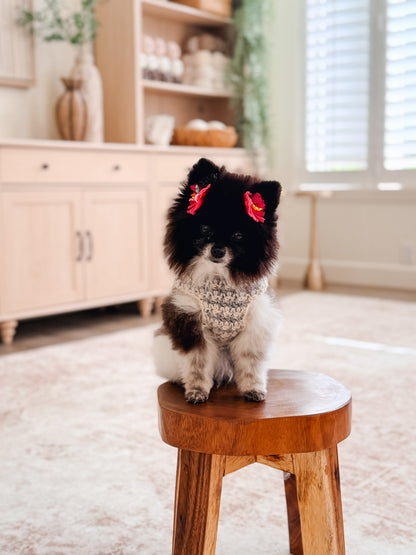 Houndstooth Dog Sweater Crochet Pattern + Video| XXS to 3X