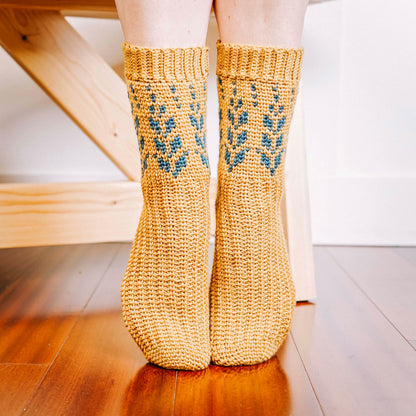 CROCHET PATTERN + VIDEO Vine Colorwork Crochet Sock Pattern, Easy to follow crochet pattern with video, footwear fashion, colorwork crochet