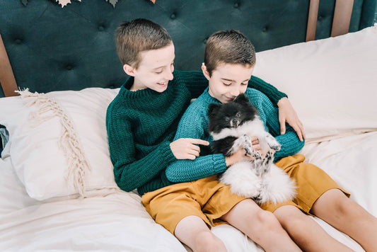 CROCHET PATTERN + VIDEO Everyday Crochet Sweater Pattern, Child & Adult sizes to 5x, Pullover Crochet Sweater Pattern, Video Tutorial Incl.