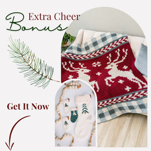 CROCHET PATTERNS + VIDEO Magical Crochet Stitches Holiday Edition Course! Create knit-look stitches with video instructions and Bonuses!