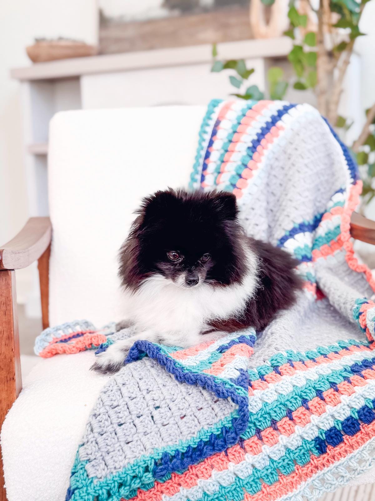 A small black and white dog sits on a colorful crochet blanket, a handmade gift, draped over a white chair.
