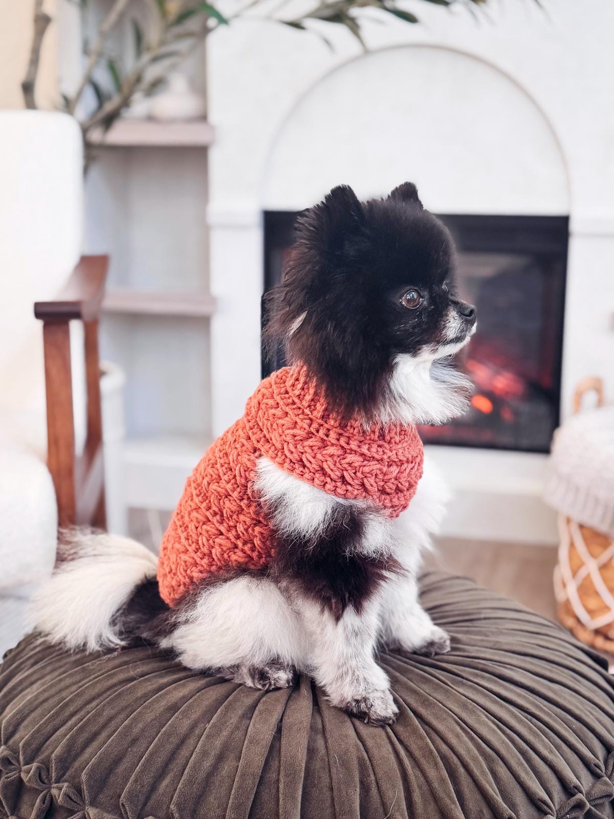 A small black and white dog wearing a red crochet sweater, looking like a handmade gift, sits on a round cushion in front of a fireplace indoors.
