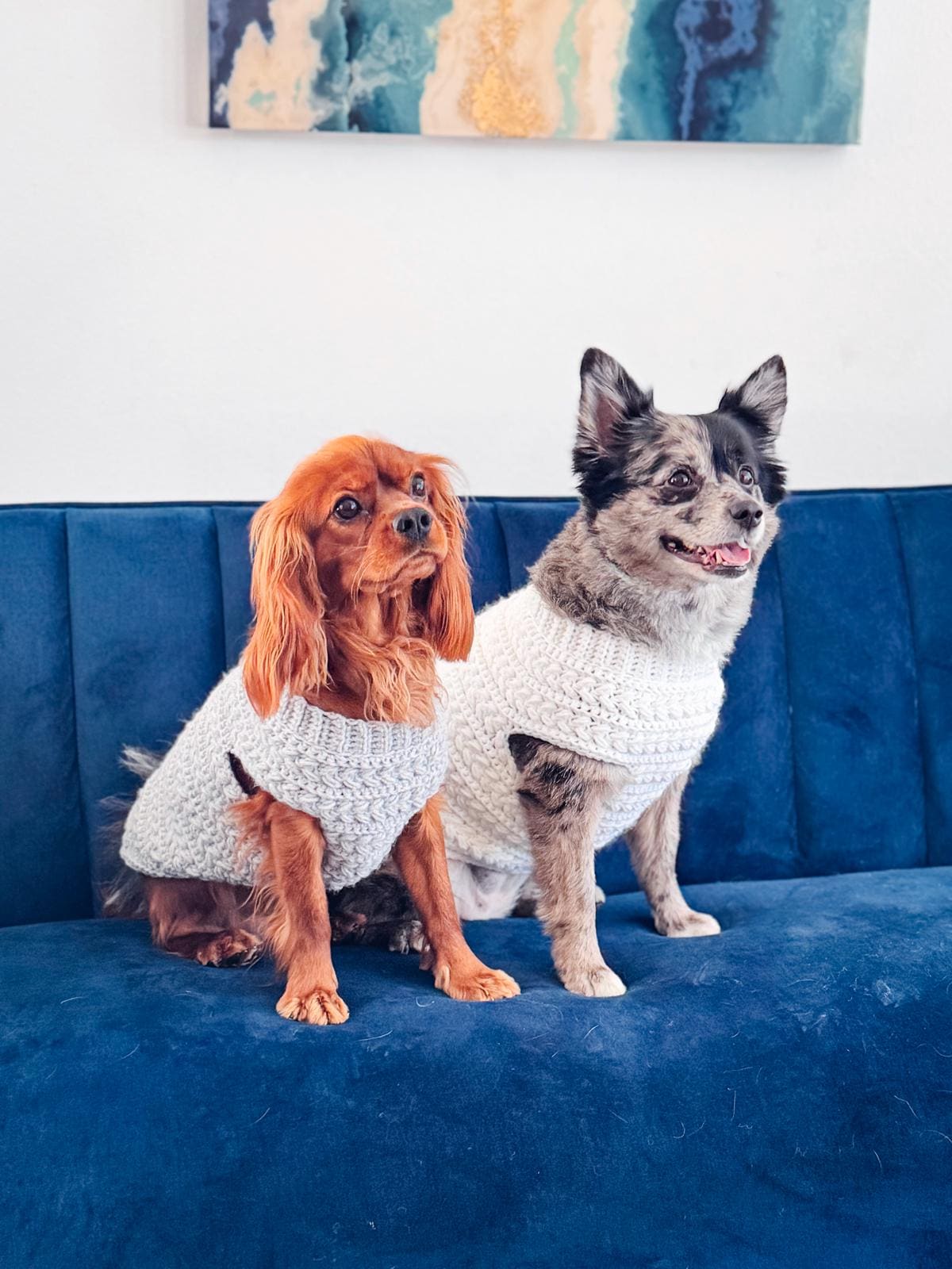 Two dogs wearing matching white crochet sweaters sit side by side on a blue sofa, with abstract art on the wall behind them.