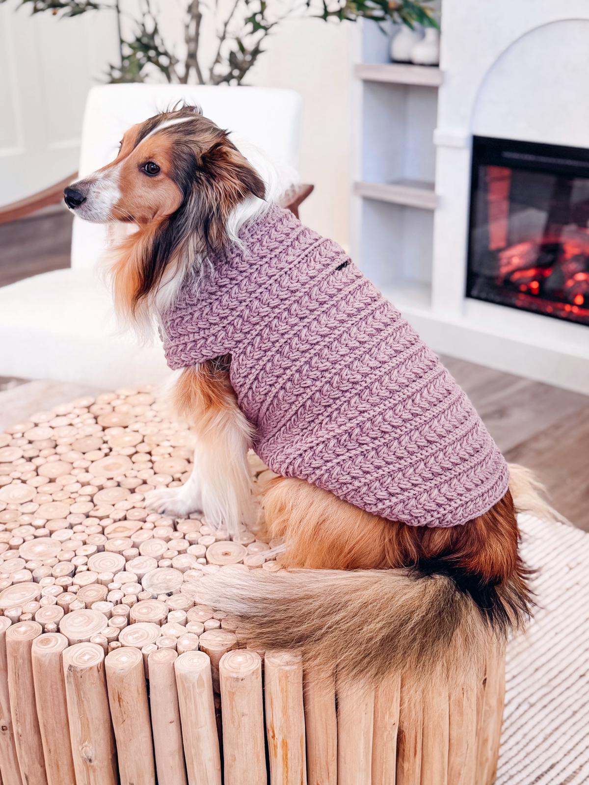 A Shetland Sheepdog wearing a crocheted purple sweater, a perfect handmade gift, sits on a wooden textured table in a cozy living room with a fireplace.