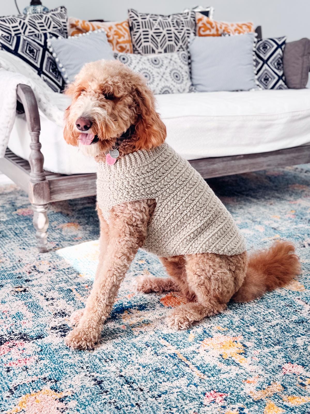 A curly-haired dog wearing a crochet wheat stitch sweater, like a handmade gift, sits on a colorful rug in front of a sofa with patterned cushions.