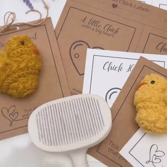 CROCHET PATTERN + VIDEO Wheat Stitch Crochet Chick Pattern | Easter Amigurumi, Farm Decor (Pdf Download)